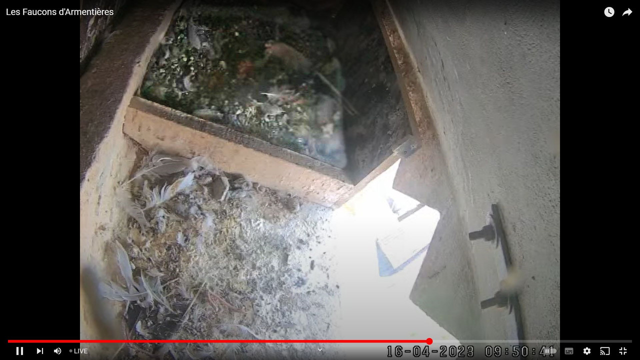 capture_16042023_134521