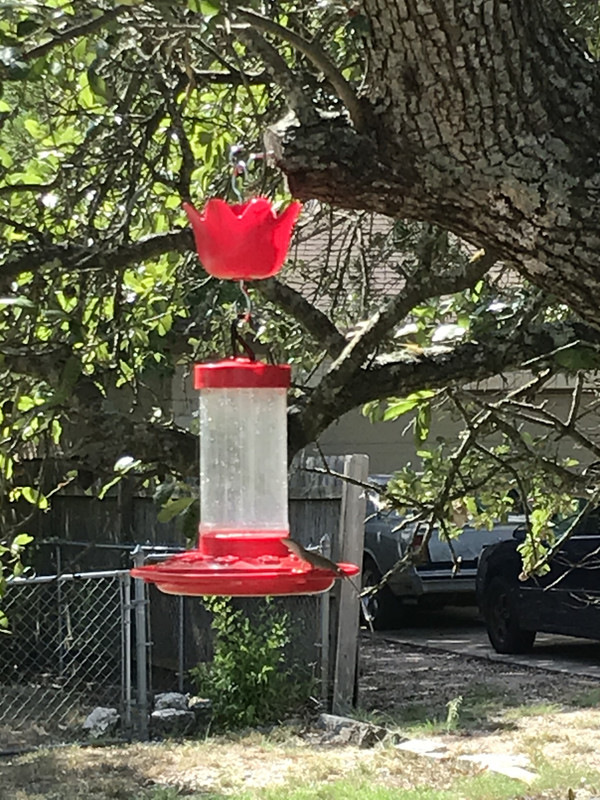 460FFA8C-C6AE-491A-8A0C-63F3BE74E811