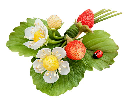Mariposa_Kit_47