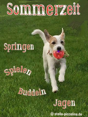An den Beitrag angehängtes Bild: https://i.postimg.cc/tC7x9K16/SOMMERZEIT-04.jpg