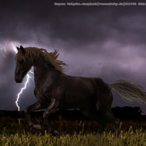 14DE14FB-D88B-4098-A058-A5152D461DE6