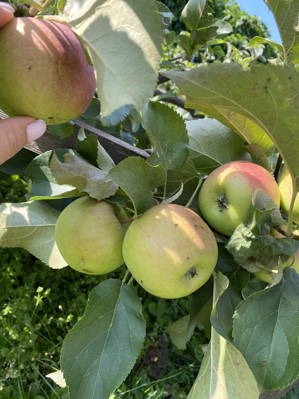 9D8B0731-7A55-4D5E-B9CA-11BE05247A94