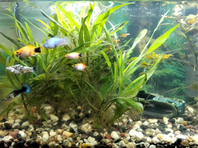 IMG_20221114_162203 (3)