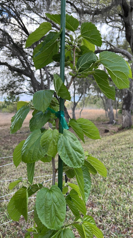 Whats App Image 2026 03 22 at 10 03 01 PM