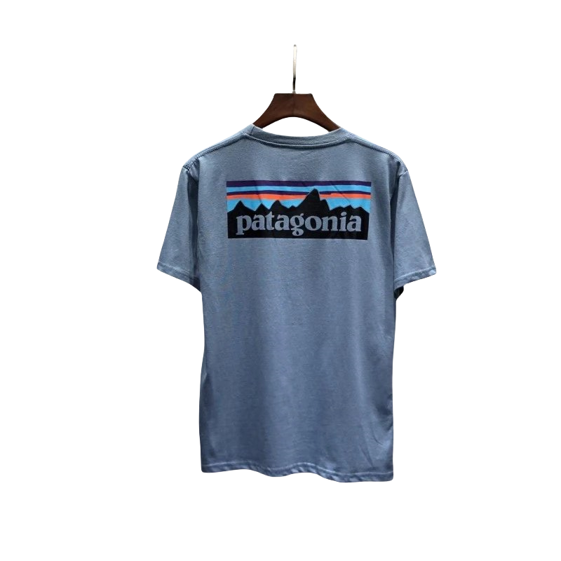 Patagonia Shorts-4