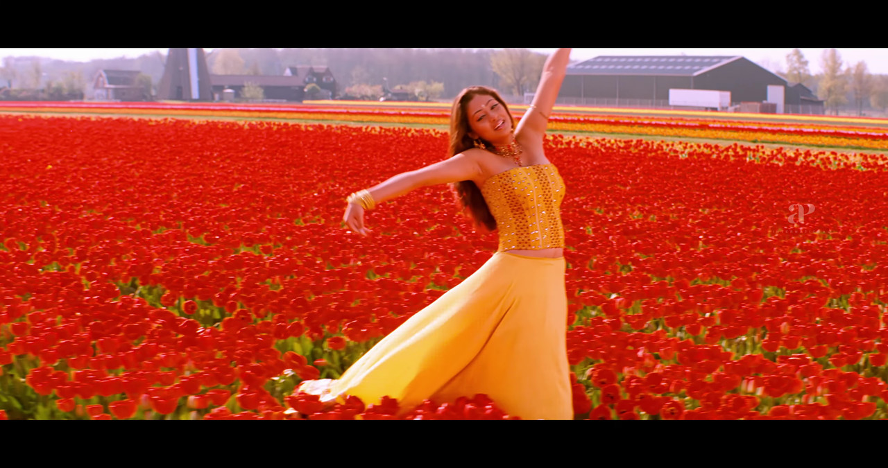 VideoCapture_20241122-200407