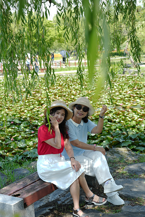 DSC02238