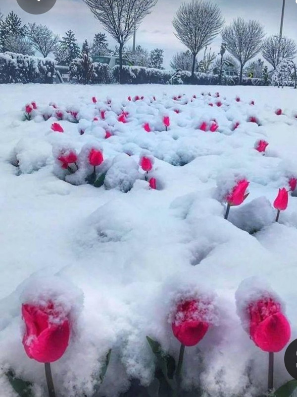 Screenshot_20231019_202632_Pinterest