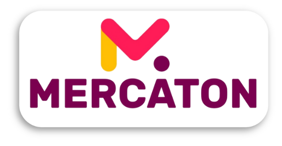 Set Mercaton, 2 Perne din Microfibra SofTouch, Hypo-Alergica, 40×40 cm, Alb si 2 Fete de Perna din Bumbac Damasc, Model cu Bordura, 170 gr/mp - Pachete Promotionale - Mercaton Store