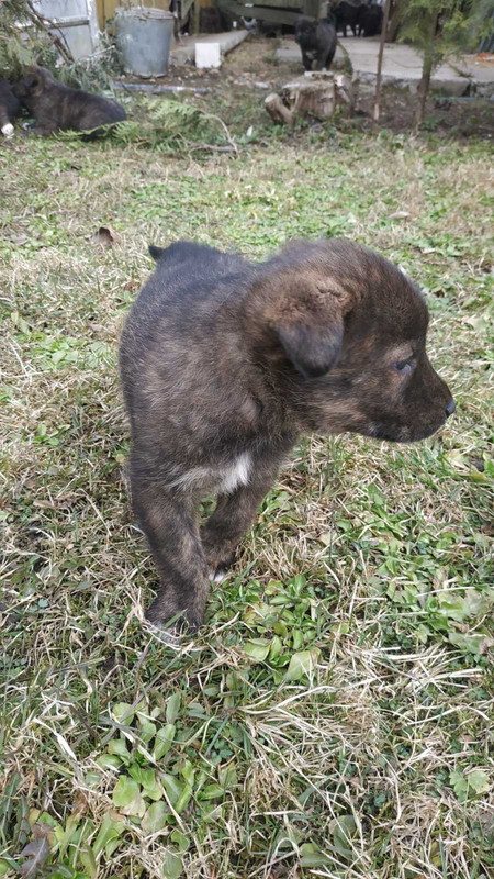 CEE11E17-3ED7-444E-8DCA-7FDE94BE90B8