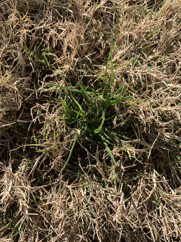 CECD55AF-9802-4A63-8B7C-656E215A319B