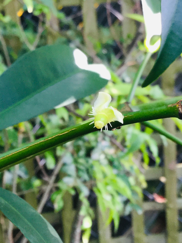 5DEBC734-B8F1-45A7-8E43-44A0D625D60B