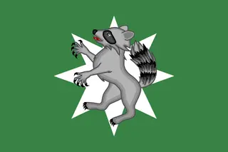 Procyon new flag