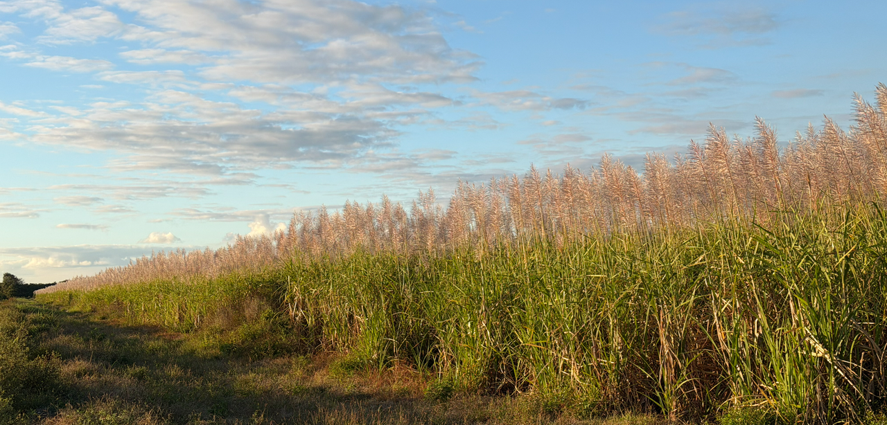 [Image: Lake-Okee-Chobee9.png]
