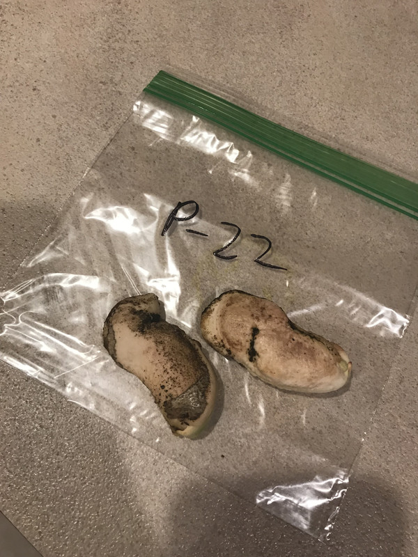 D03557EF-1BE0-4458-BDF5-3D235F324A6C