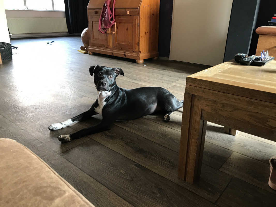 23689719-0F6F-4D2E-9029-992C3791D80D