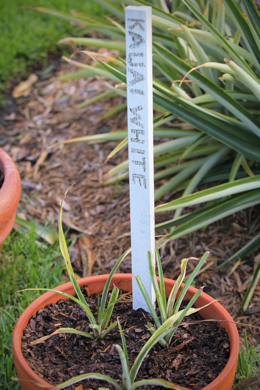 9DD0460C-B0A6-481C-A799-7C5AE92B3FA7_1_201_a