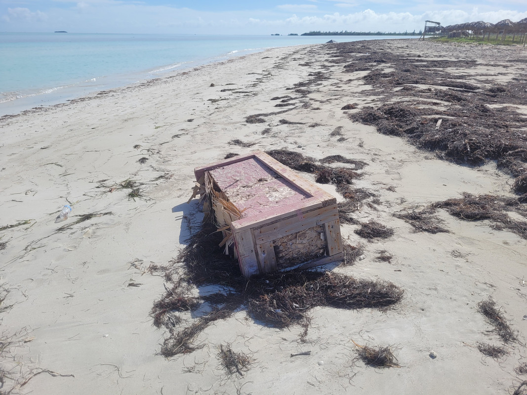Внезапная поездка. Cuba, tengo un hambre de pingon! Варадеро-Гавана.  Конец декабря 2024