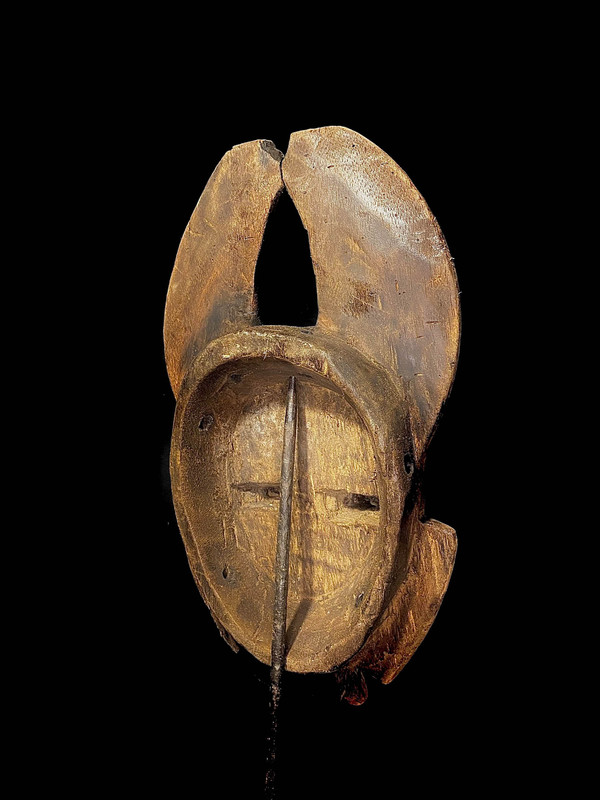 large image 12
