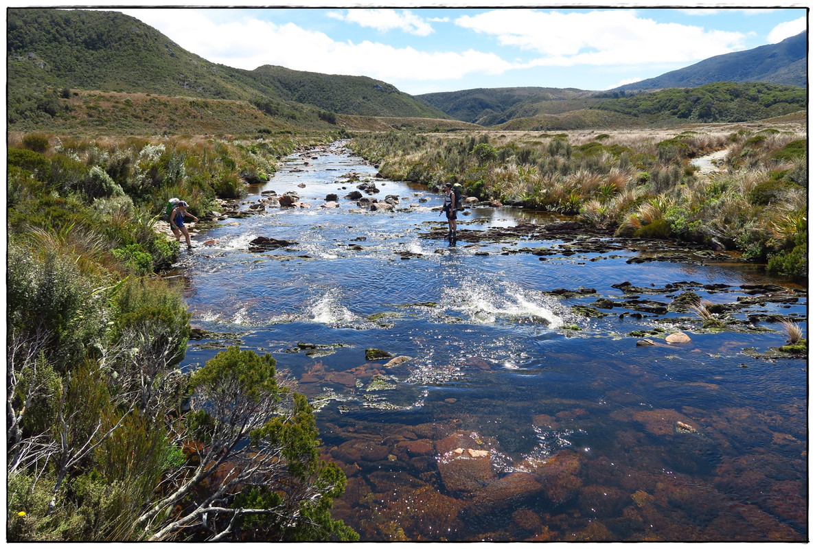 Escapadas y rutas por la Nueva Zelanda menos conocida - Blogs de Nueva Zelanda - Kahurangi NP: Heaphy Track (Navidad 2020, III) (23)