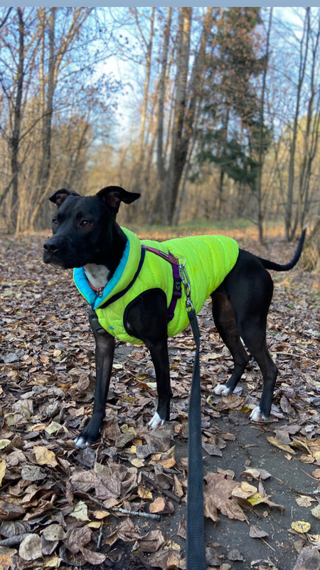 31EE05FB-5611-4760-A102-0C96FA01E622