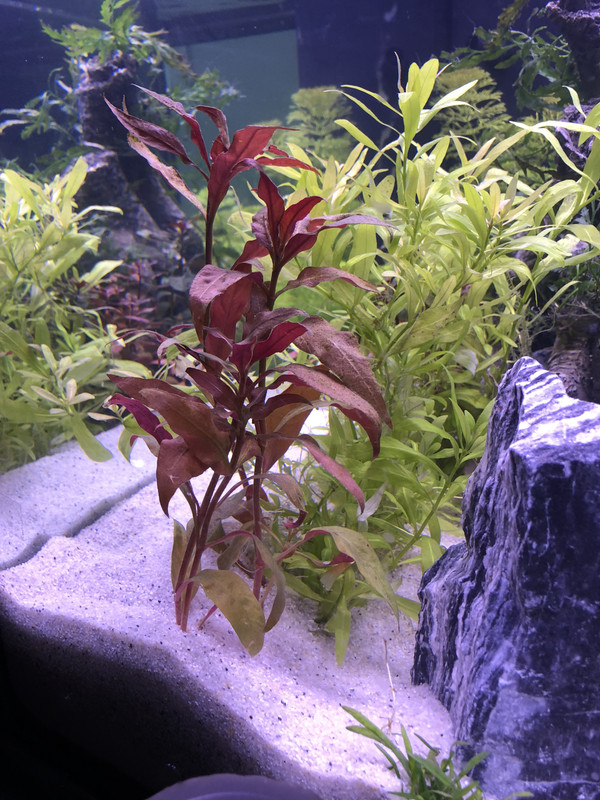 E9F471F8-D256-4A54-B9A7-B516DA58F247