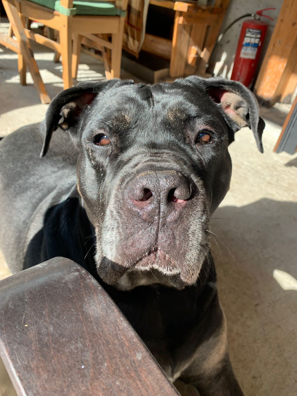 311DDA16-08A7-4007-85EC-745D54B6D6AA