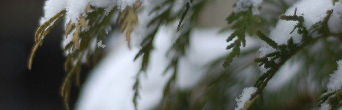 0f19bc057baf8f866fd0590a30fb0d04