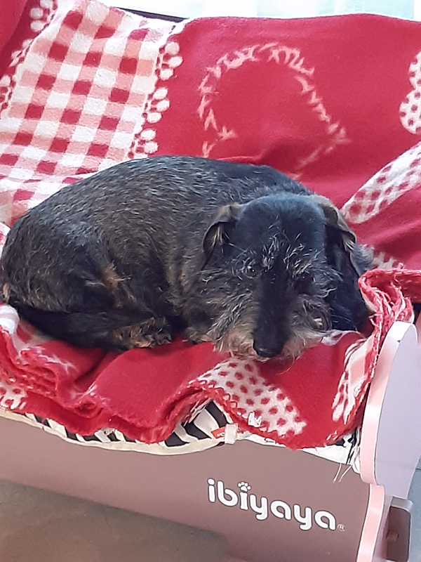 [Image: 20251229-090752.avif]