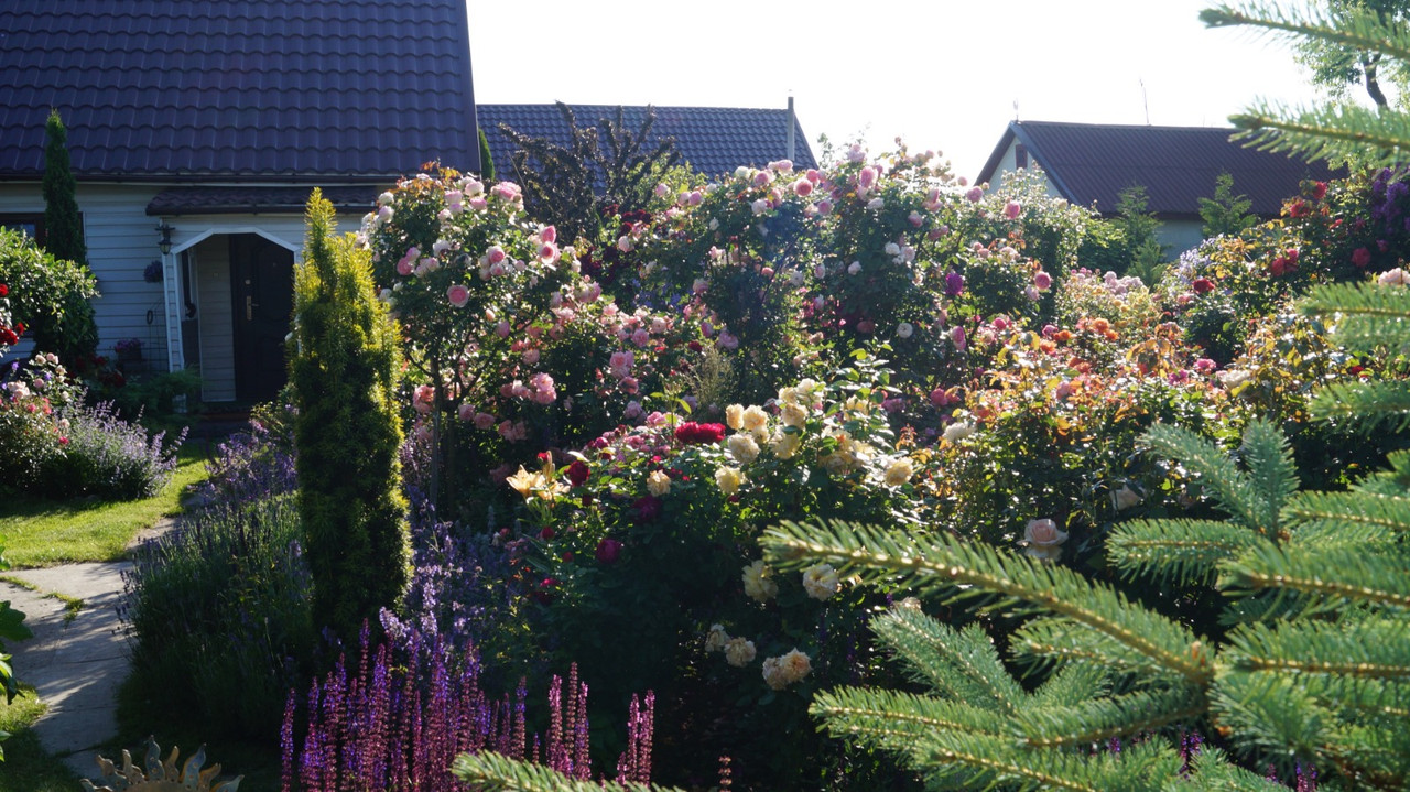 IMG-20250626-WA0020
