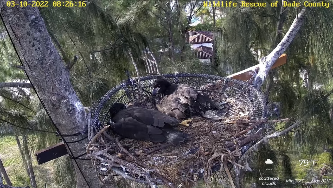 246CB13A-F781-4725-98D2-8843EF836A0F