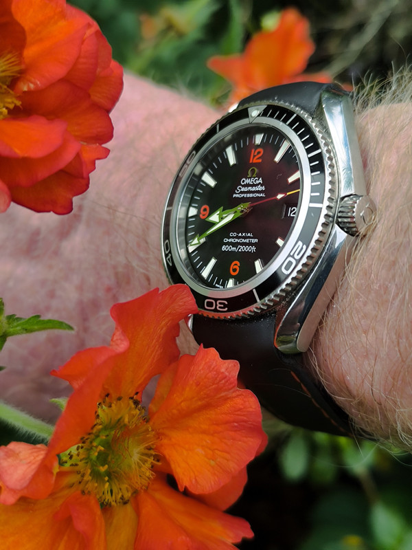 IMG 20251112 084154 2