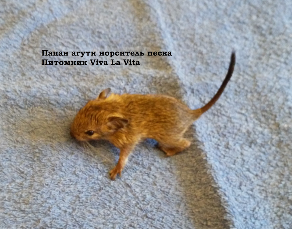 IMG_20160904_135114