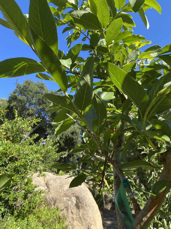 0D76902E-D516-4208-BC2D-E91FC940E51E