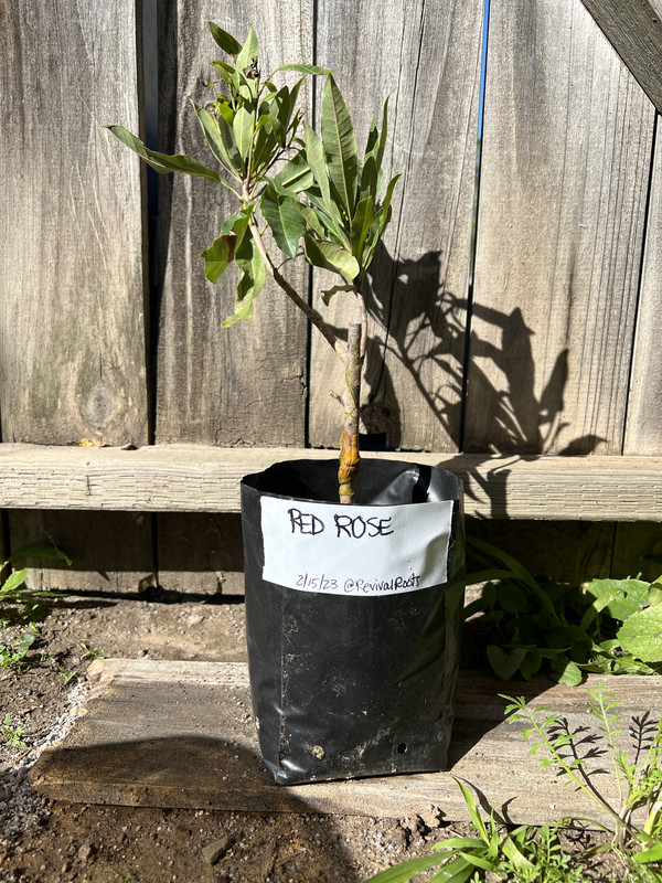 07AC3476-9444-42F0-AF60-611D709E5CF1