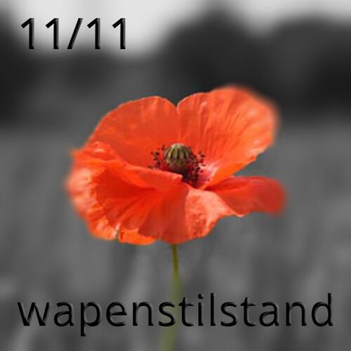 oie-1182332y4vqj-JYx