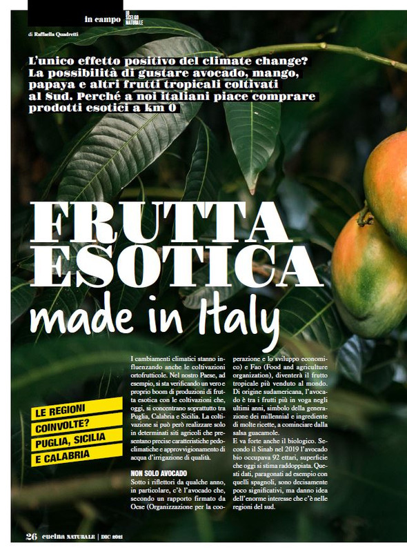 Cucina Nat Dic 2021 (3)