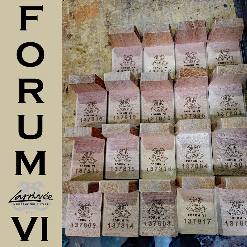 Larrivee-Forum-VI-1.jpg