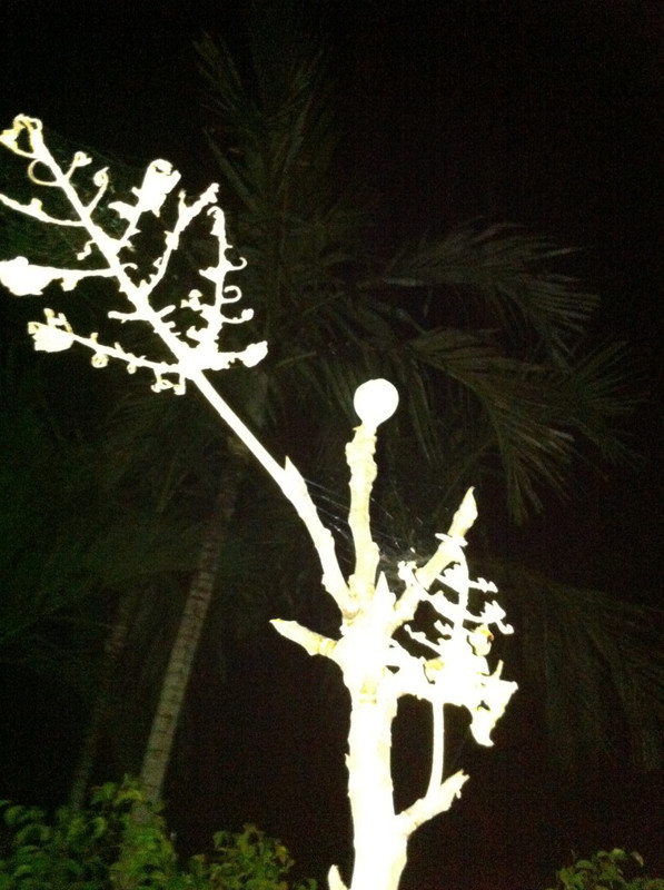 1B86630B-0F82-4FAD-936E-B3FBC0479325-590-0000009