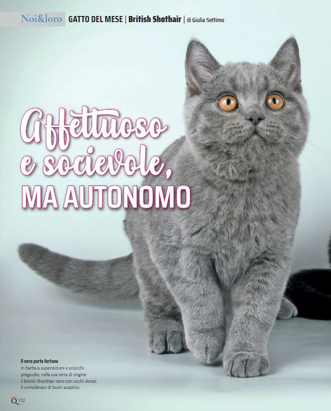 QuattroZampe Set 2021 (11)