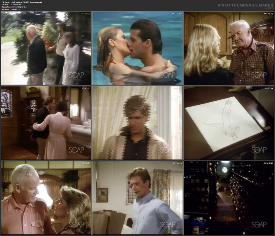 Falcon Crest S04E03 Strangers.mkv