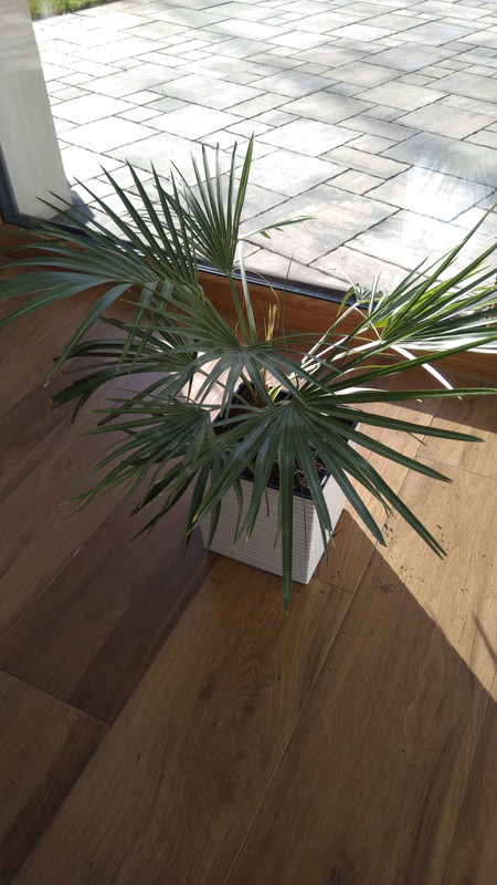 2024-03-08T08_44_28 01_00