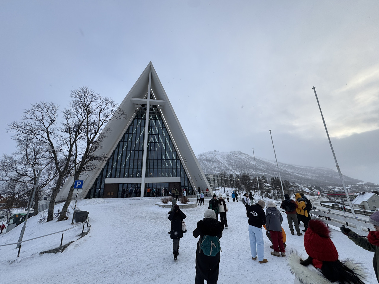 [Immagine: IMG-8130.jpg]