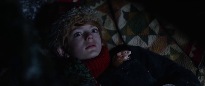 vlcsnap-2021-11-25-08h53m56s993