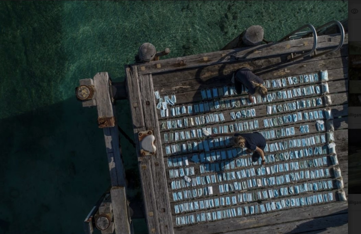 1ADD5E7D-43EF-4DC3-8F3E-816E939B2078