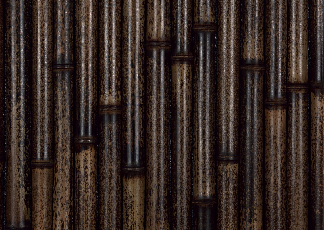 wood-texture-3dsmax (365)