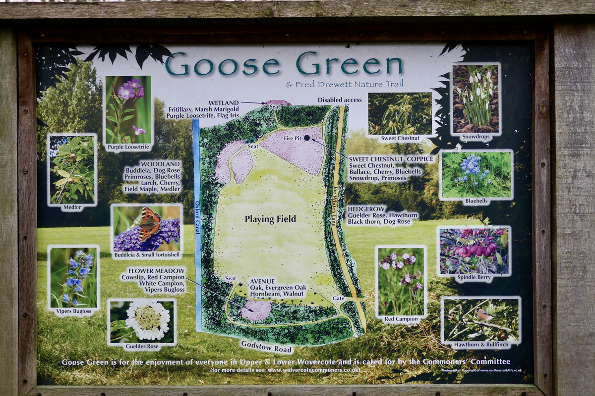 F68147D8-05B3-4F20-A451-660774305182