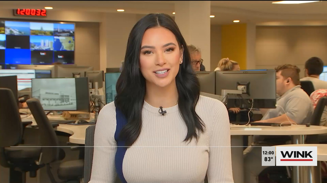 10.27 - 17.00.00 - The WINK Noon News  ᴺᵉʷ. Midday news update..ts_snapshot_07.00.384