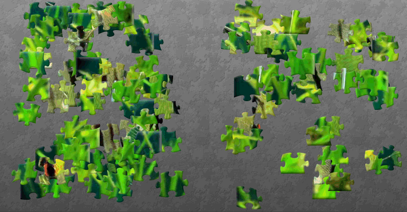 aquigarcia-cebra-puzzle.gif