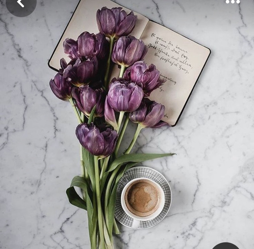 Screenshot_20240203_193213_Pinterest